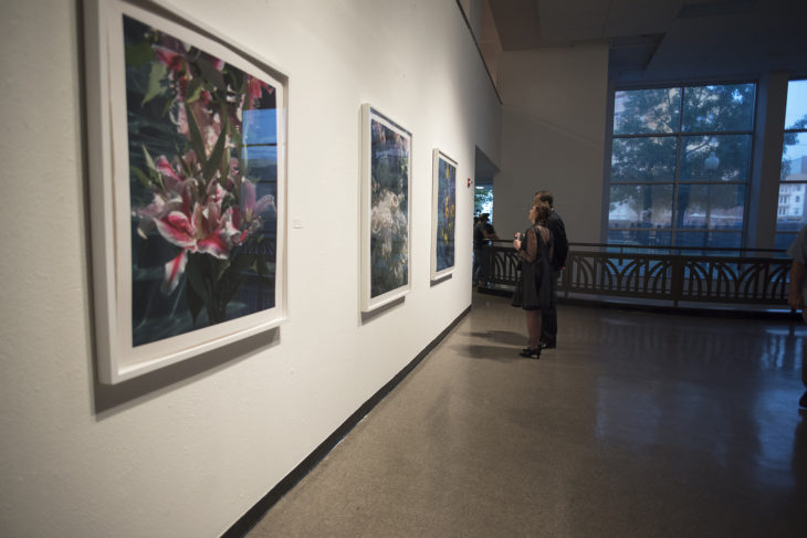 Installation view North